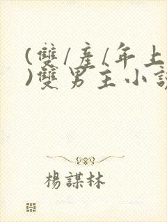 (双/产/年上)双男主小说