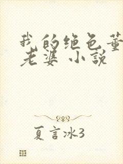 我的绝色董事长老婆 小说