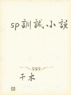 sp训诫小说