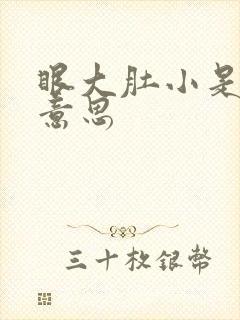 眼大肚小是什么意思