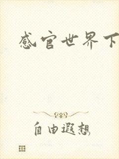 感官世界下载
