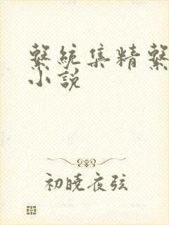 系统集精系统 小说