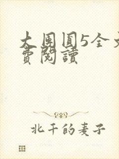 大团圆5全文免费阅读