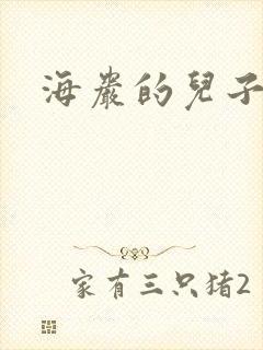 海岩的儿子