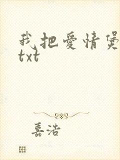 我把爱情煲成汤txt