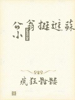 公翁挺进苏玥的小泬