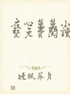夜心万万小说完整免费阅读全文