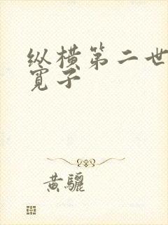 纵横第二世界 宽子
