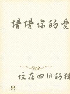 借借你的爱