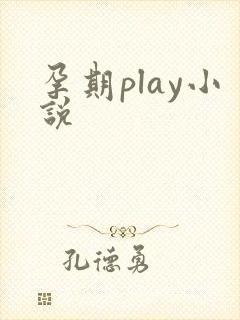 孕期play小说