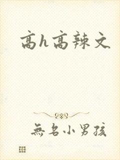 高h高辣文