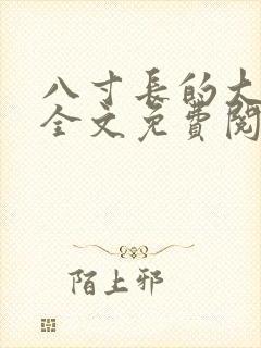 八寸长的大宝贝全文免费阅读