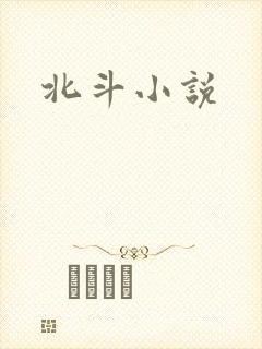 北斗小说