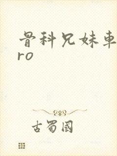 骨科兄妹车多pro