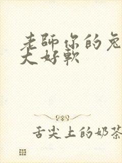 老师你的兔子好大好软