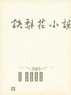 铁梨花小说
