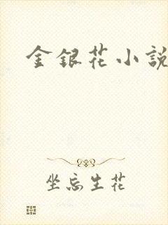 金银花小说乐可