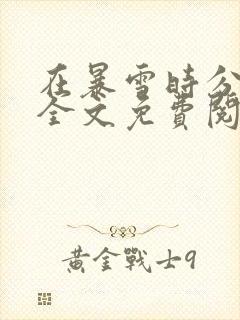 在暴雪时分小说全文免费阅读