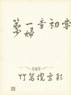 第一章初尝极品少妇