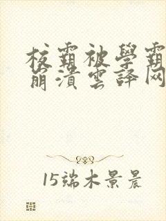 校霸被学霸玩到崩溃云译网