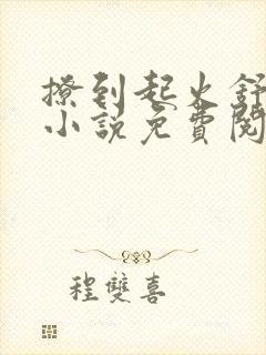 撩到起火舒漾的小说免费阅读全文