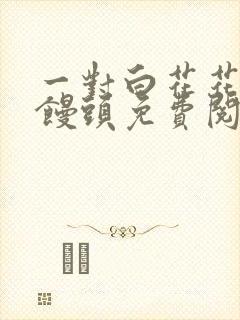 一对白花花的大馒头免费阅读