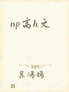 np高h文
