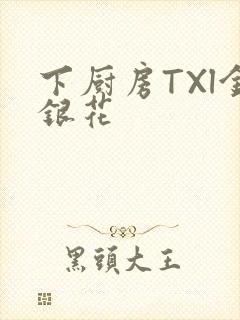 下厨房TXl金银花