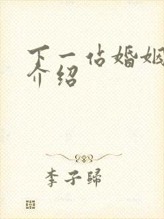 下一站婚姻剧情介绍