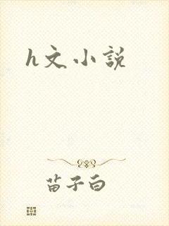 h文小说