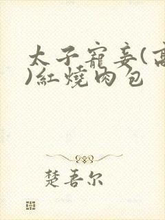 太子宠妾(高肉)红烧肉包