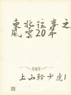 东北往事之黑道风云20年