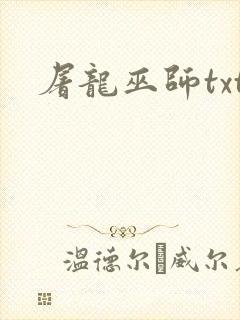 屠龙巫师txt