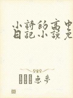 小诗的高中成长日记小说免费阅读