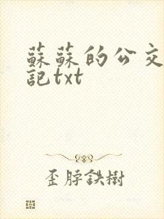 苏苏的公交车日记txt