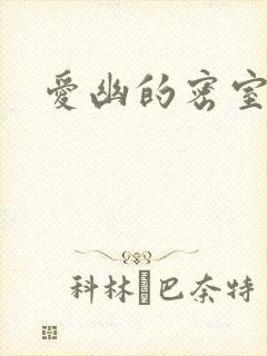 爱幽的密室小说