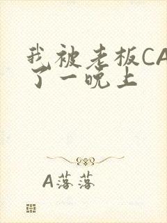 我被老板CAO了一晚上