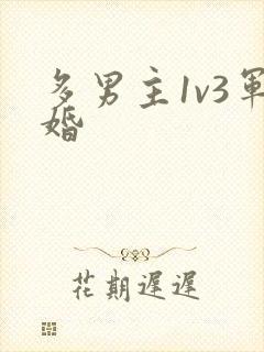 多男主1v3军婚