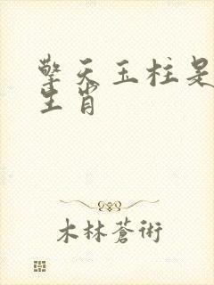 擎天玉柱是什么生肖