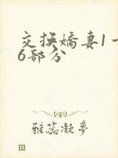 交换娇妻1一36部分