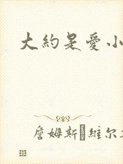 大约是爱小说