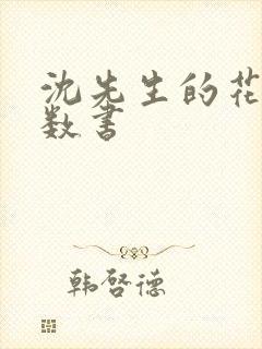 沈先生的花式调数书