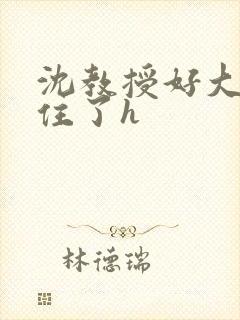 沈教授好大含不住了h