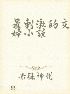 最刺激的交换夫妇小说