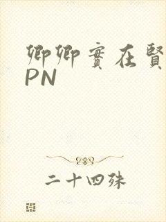 卿卿实在贤良NPN