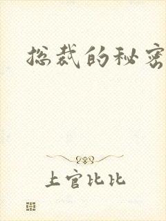 总裁的秘密情人