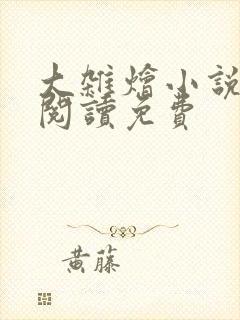 大杂烩小说全集阅读免费