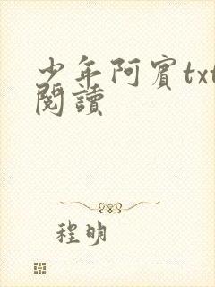 少年阿宾txt阅读