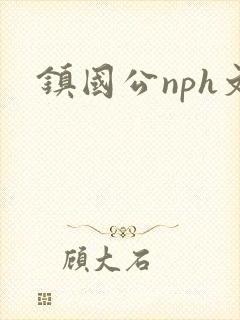 镇国公nph文