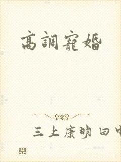 高调宠婚